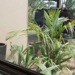 Private Residence Denarau Island